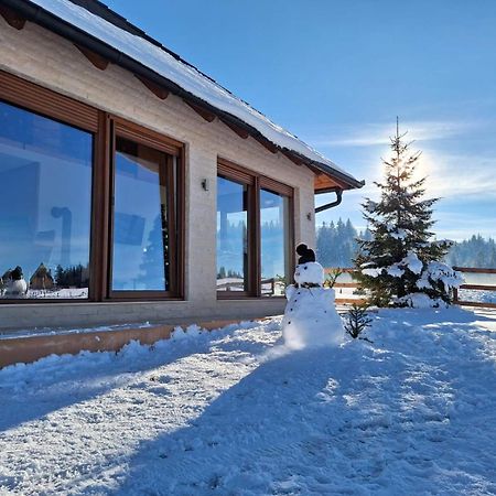 Vikendica Krlic Villa Mitrovac Kültér fotó
