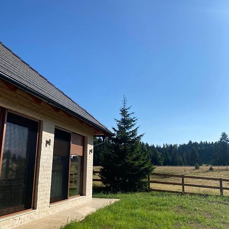 Vikendica Krlic Villa Mitrovac Kültér fotó